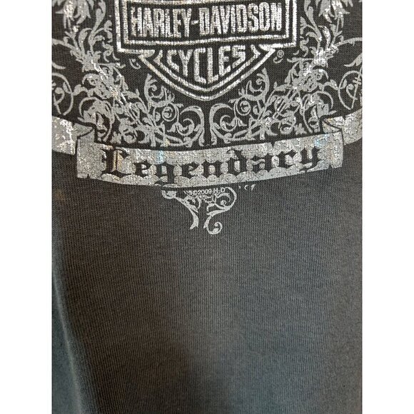 Harley Davidson Metallic Graphic Charlotte NC Grey Tee Shirt Size XL - Picture 3 of 13